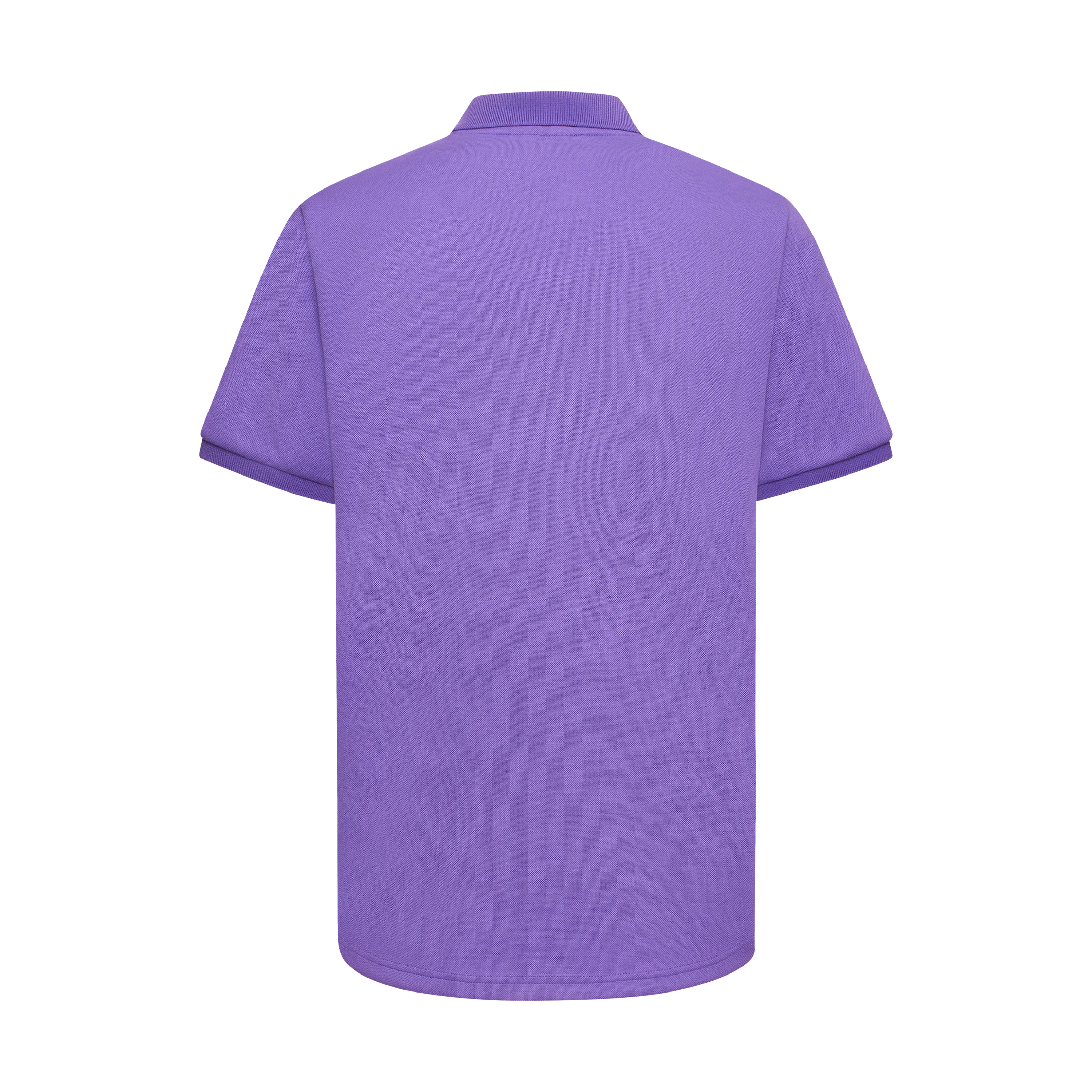 THE TERIDAE POLO-IRIS